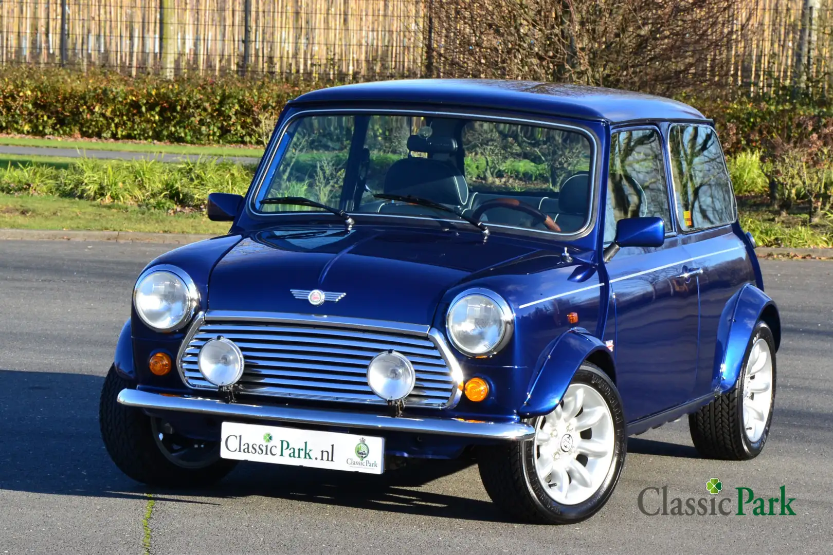Rover MINI Cooper 1.3i "Blue Star" Blau - 1