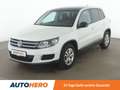Volkswagen Tiguan 1.4 TSI Trend & Fun BlueMotion Tech *PDC*SHZ* Blanco - thumbnail 1