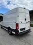 MAN TGE MAN LKW Kasten TGE 3.180 4x4 automatik Weiß - thumbnail 3