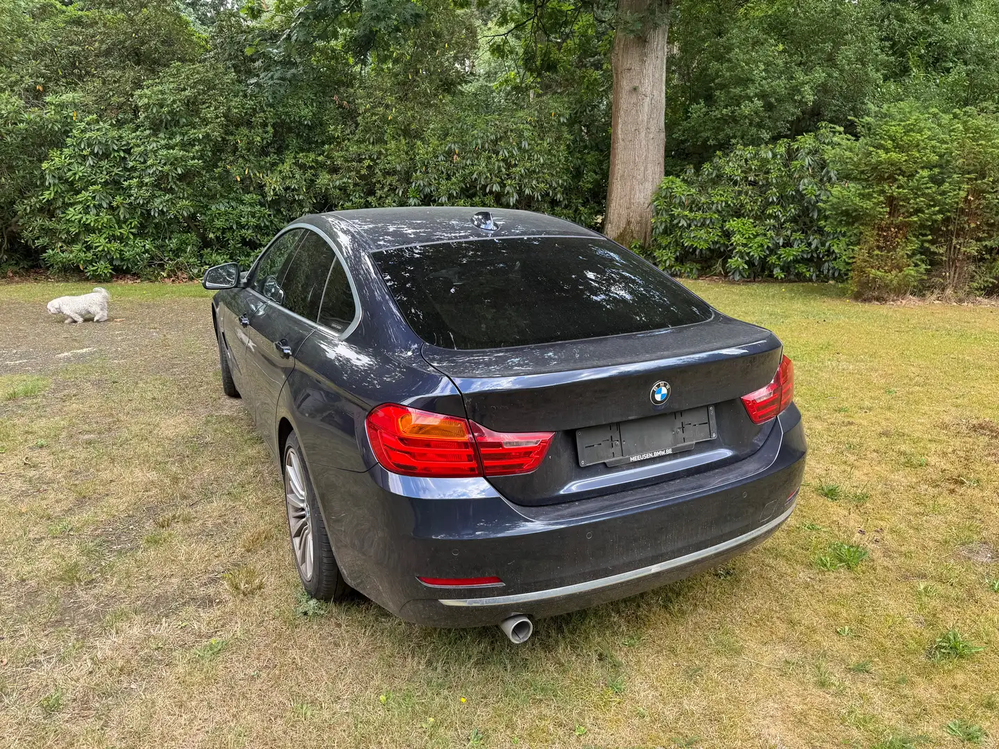 BMW 418 418d Gran Coupe Aut. Luxury Line Albastru - 2