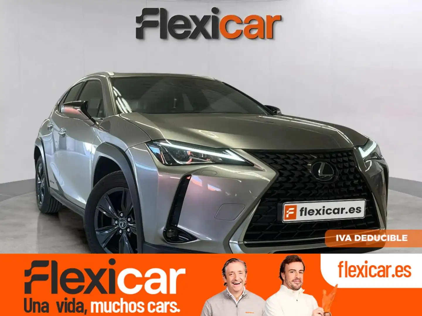 Lexus UX 250h 2.0 Business Gris - 1
