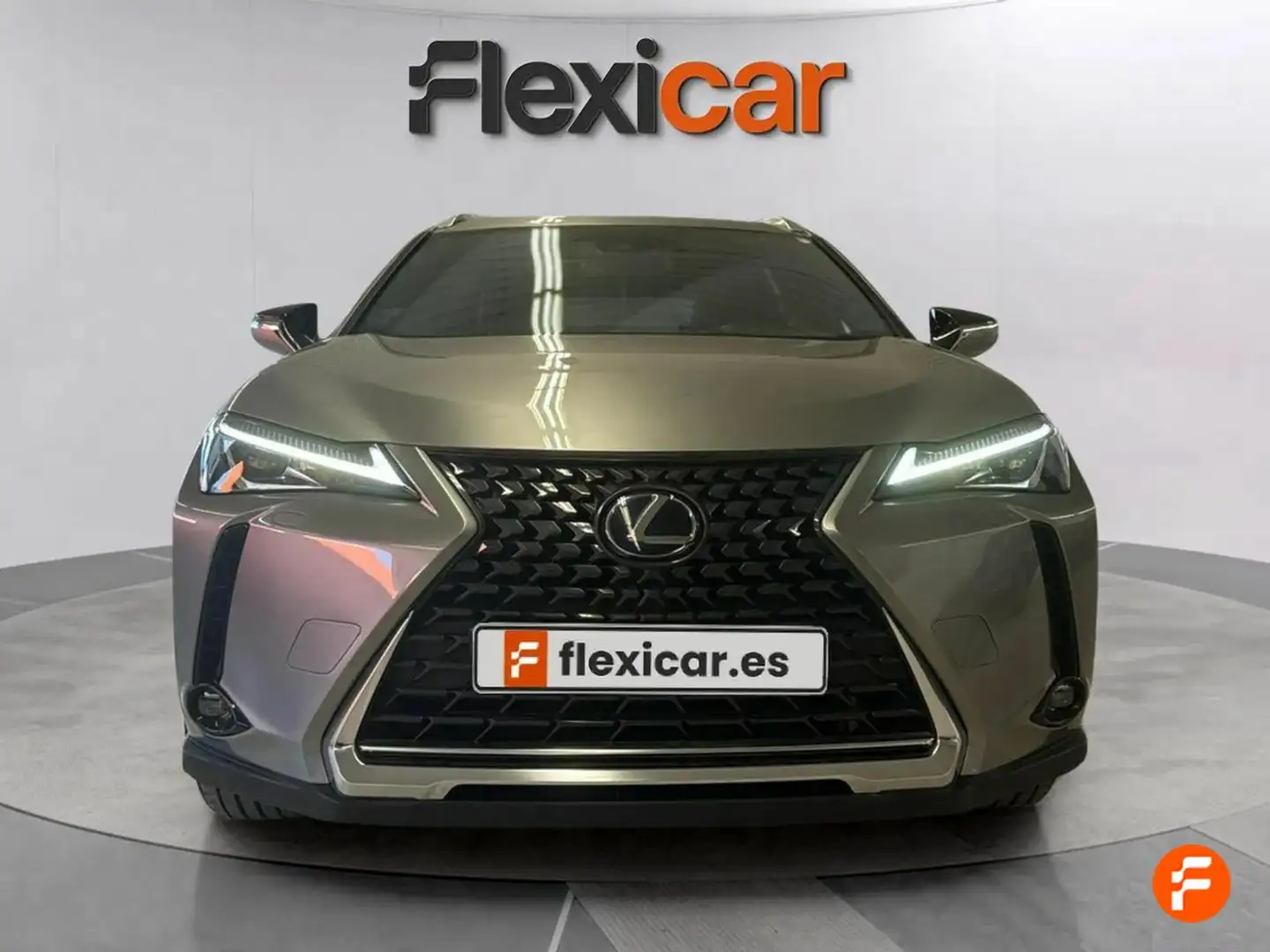 Lexus UX 250h 2.0 Business Gris - 2