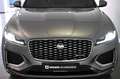 Jaguar F-Pace P250 R-Dynamic SE AWD Pano Gris - thumbnail 33
