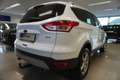 Ford Kuga 1.5 EcoBoost Trend AHV/Style-Paket/Sportsitze Weiß - thumbnail 5