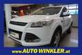 Ford Kuga 1.5 EcoBoost Trend AHV/Style-Paket/Sportsitze Weiß - thumbnail 1