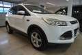 Ford Kuga 1.5 EcoBoost Trend AHV/Style-Paket/Sportsitze Weiß - thumbnail 3