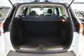 Ford Kuga 1.5 EcoBoost Trend AHV/Style-Paket/Sportsitze Weiß - thumbnail 10