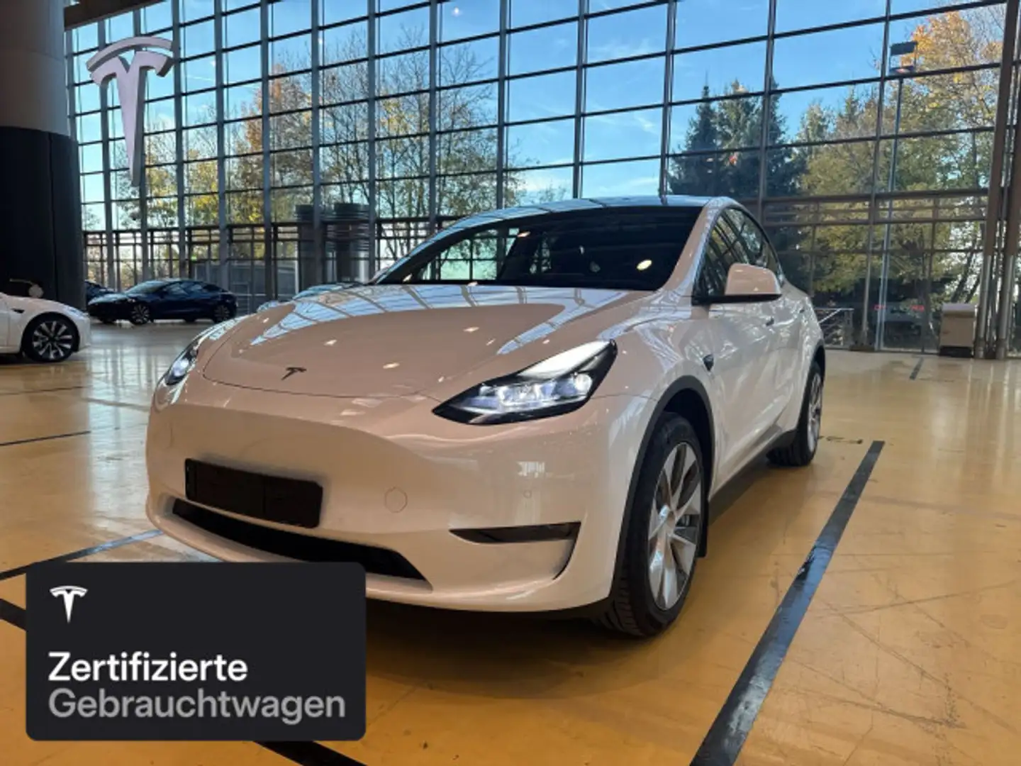 Tesla Model Y Long Range AWD Weiß - 1