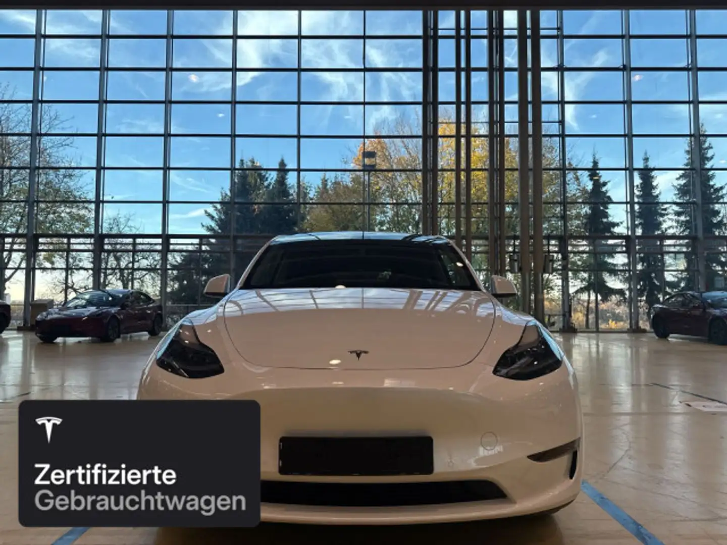 Tesla Model Y Long Range AWD Weiß - 2