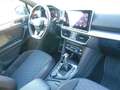 SEAT Tarraco Tarraco 2.0 tdi FR 4drive 200cv dsg Verde - thumbnail 16