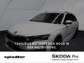 Skoda Octavia Selection 2.0 TDI DSG / Navi, LED, SHZ Weiß - thumbnail 1
