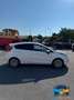 Ford Fiesta 1.2 82 CV 5 porte Titanium Bianco - thumbnail 7