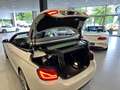 BMW 420 i M Sport Cabrio|Navi|H/K|DAB|19"|Open Air Weiß - thumbnail 33
