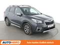 Subaru Forester 2.0 Comfort Aut.*NAVI*ACC*PDC*LIM*DAB* Gris - thumbnail 8