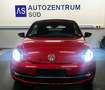 Volkswagen Beetle Cabriolet Sport DSG SHZ Leder NAV Rood - thumbnail 26