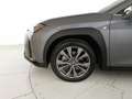 Lexus UX 250h 250h 2.0 F-Sport 2wd cvt Gris - thumbnail 29