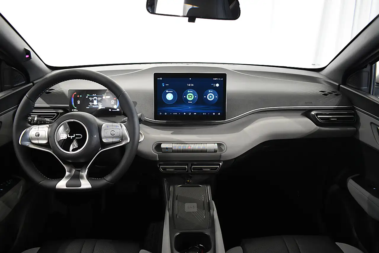 BYD DOLPHIN SURF