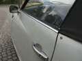 Volkswagen Karmann Ghia Cabrio ungeschweißt aus Californien Gris - thumbnail 8