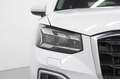 Audi Q2 2.0 TDI Stronic Sline Bianco - thumbnail 13