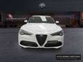 Alfa Romeo Stelvio 2.2 Diésel 154kW (210CV)  Q4 Veloce Blanco - thumbnail 2
