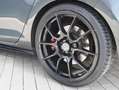 Volkswagen Golf VII GTI Performance 2.0 TSI DSG *UNIKAT* Grau - thumbnail 8