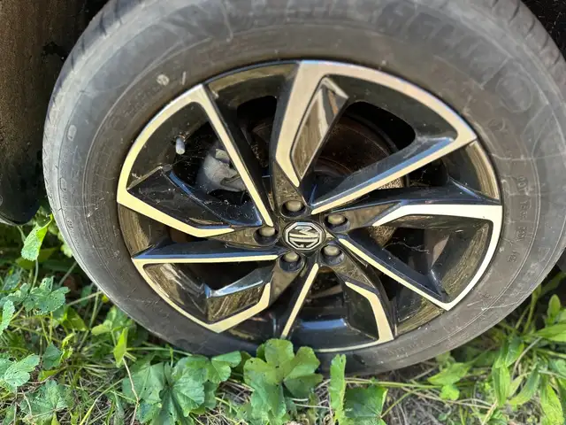 MG ZS view 4