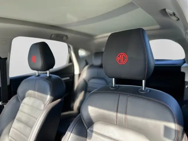 MG ZS view 9