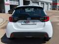 Toyota Yaris Hybrid 1,5L Team D *Comfort Paket* Bianco - thumbnail 6