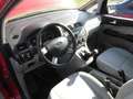 Ford Focus C-Max Ambiente Rot - thumbnail 7