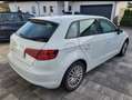 Audi A3 A3 1.8 Ambiente Weiß - thumbnail 8