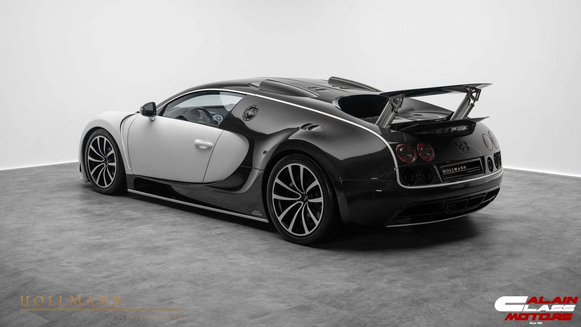 Bugatti Veyron 16.4 Linea Vivere -  - Joinsteer - #4