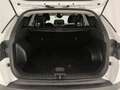 Hyundai TUCSON 1.6 hev exellence 2wd auto Blanco - thumbnail 12