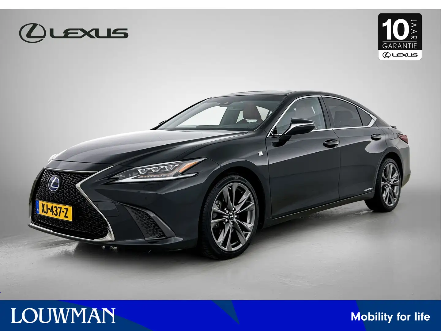 Lexus ES 300 300h F Sport Line | Mark Levinson | Head Up Displa Schwarz - 1