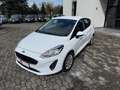 Ford Fiesta 1.1 75 CV GPL 5 porte Business Weiß - thumbnail 7