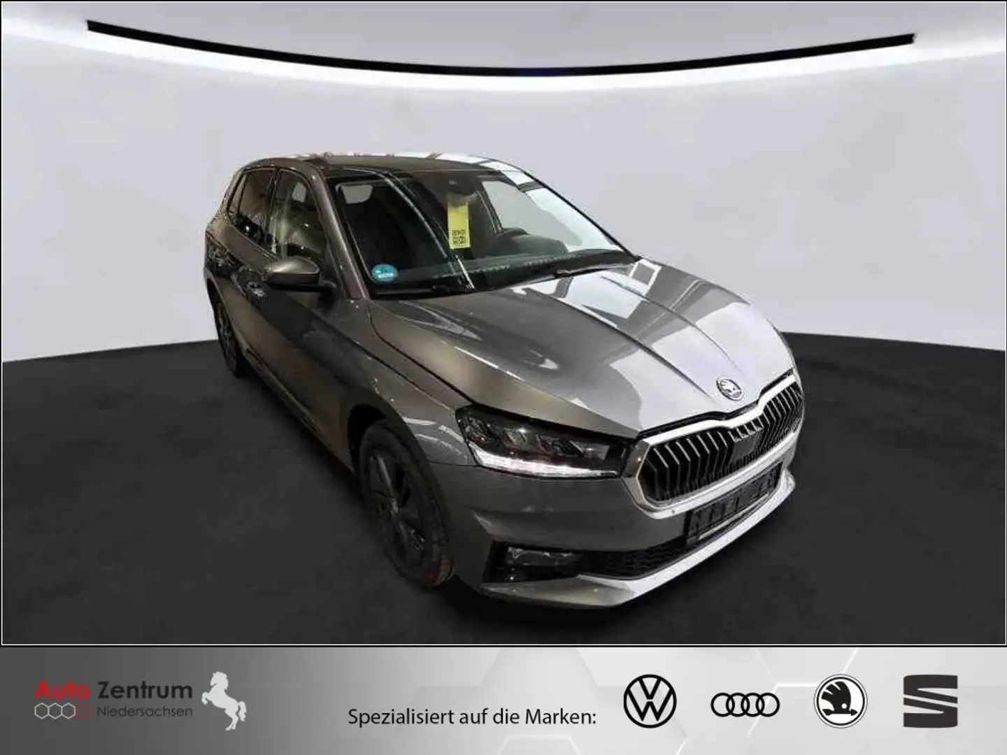 Skoda Fabia 1.0 TSI Selection *AHK*WinterPlus*13.500km Gris - 2