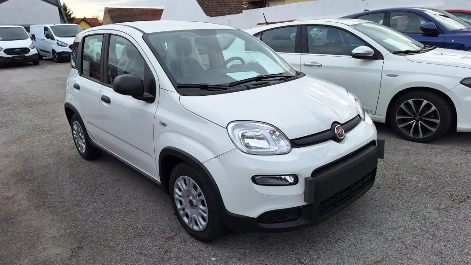 Fiat Panda Hybrid 1,0 GSE MY24 Blanc - 2