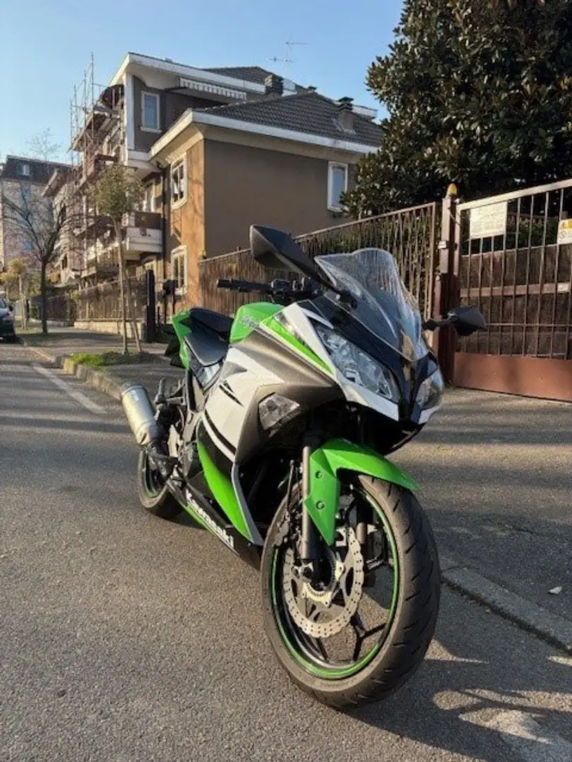 Kawasaki Ninja 300 Grün - 1