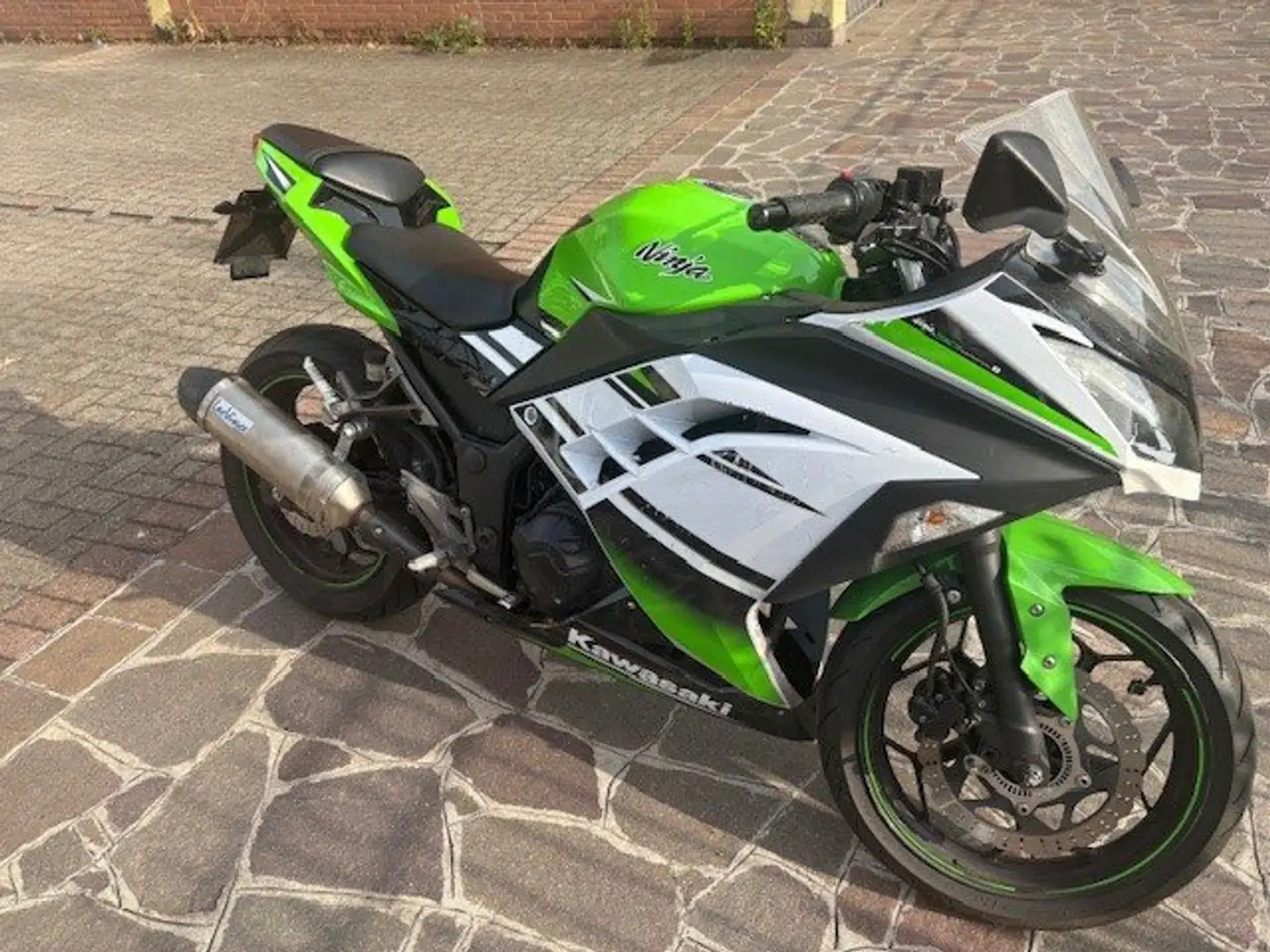 Kawasaki Ninja 300 Grün - 2