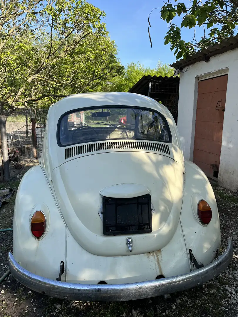 Volkswagen Käfer kiváló Alb - 2