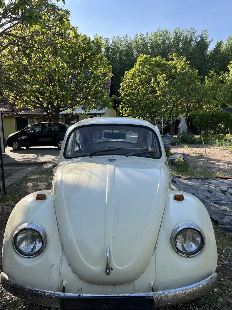 Volkswagen Käfer kiváló Alb - 1