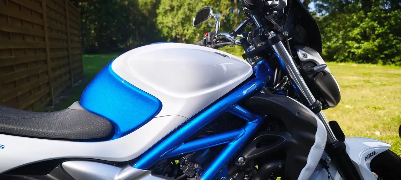 Suzuki Gladius 650