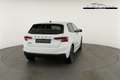 Skoda Fabia Monte Carlo 1.5 TSI DSG Carlo, Kamera, 17-Zoll,... Blanco - thumbnail 14