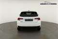 Skoda Fabia Monte Carlo 1.5 TSI DSG Carlo, Kamera, 17-Zoll,... Blanco - thumbnail 13