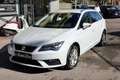SEAT Leon 1.6 TDI 115 CV DSG ST Business Weiß - thumbnail 1