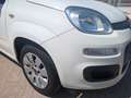 Fiat Panda 1.2 Pop Weiß - thumbnail 26