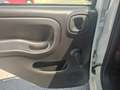 Fiat Panda 1.2 Pop Weiß - thumbnail 23