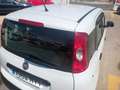 Fiat Panda 1.2 Pop Weiß - thumbnail 30