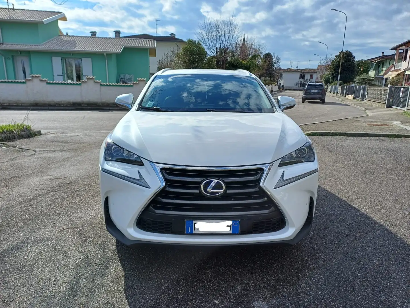 Lexus NX 300 300h 2.5 Luxury 4wd cvt White - 2