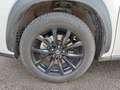 Lexus NX 300 300h 2.5 Luxury 4wd cvt White - thumbnail 9