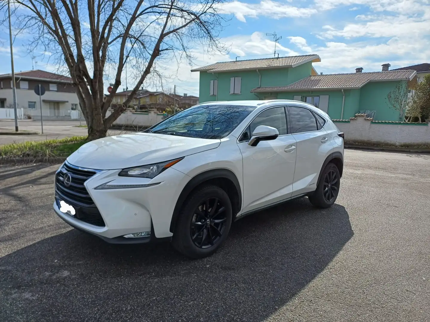 Lexus NX 300 300h 2.5 Luxury 4wd cvt White - 1